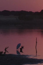 Imagen de Dehesa - 2