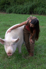 Imagen de ¡Qué animal! (T5): Pieles - 2
