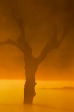 Imagen de Las aves del frío - 2