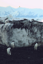 Imagen de La Antártida desde el aire - 2