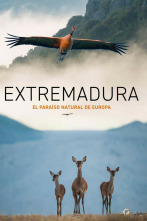 Imagen de Extremadura, el paraíso natural de Europa - 2