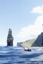 Atlántico Norte: el...: Explorando en la oscuridad
