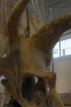 Imagen de Jurassic Cash - 2
