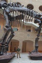 Imagen de Dinosaurios del continente helado  - 2