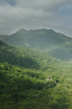 Imagen de Tayrona: La selva - 2