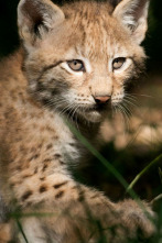 Imagen de Guarderias de la naturaleza - 2