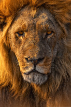 Imagen de Las caras salvajes: La sequía - 2