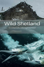 Imagen de Las islas Shetland: La frontera vikinga de Escocia - 2