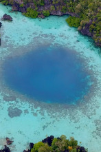 Imagen de El círculo mágico del arrecife  - 2