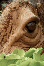 Imagen de Naturaleza maravillosa y salvaje - 2