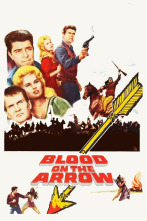 Imagen de Flechas sangrientas - 2