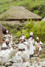 La línea negra