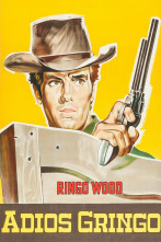 Imagen de Adiós gringo - 4