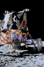 Imagen de La nueva luna del Apolo - 4