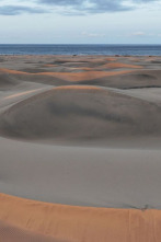 Imagen de Espacios naturales...: De los bufones de Pría a Doñana - 4