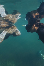 Imagen de Blue carbon - 2