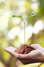 Imagen de Ríos (T1): Guadalquivir - 2