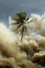 Imagen de Tsunami: la ola que conmocionó al mundo - 2