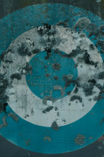 Imagen de Traslados - 4