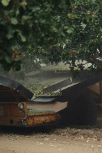 Imagen de La guerra del pistacho - 4