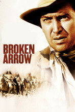 Imagen de Flecha rota - 2