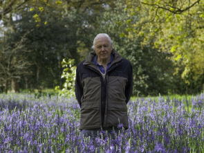 Imagen de Curiosidades de la naturaleza con Attenborough  - 1