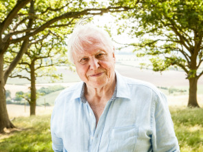 Attenborough cumple 90 años