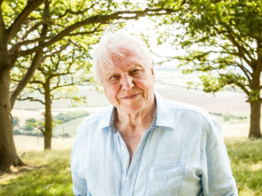 Imagen de Attenborough cumple 90 años - 1
