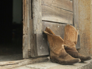 Imagen de Mi vida entre las hormigas - 1