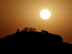 Imagen de Planeta selva: El reino del sol - 1
