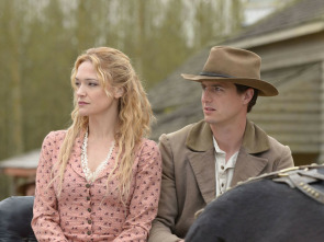 Imagen de El virginiano - 1