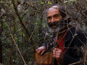 Imagen de El señor de los bosques (T1) - 1