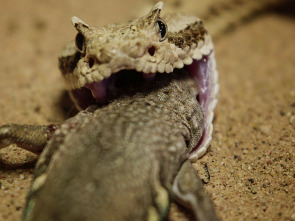 Imagen de Wild México: Los rápidos y los muertos - 1