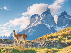 Imagen de Lugares...: Jamaica - 1