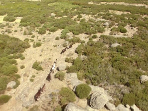 Imagen de Salvajes - 1