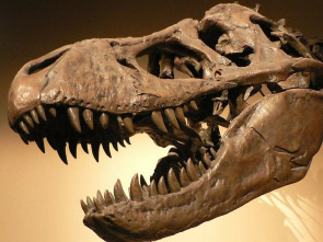 Imagen de Des-extinción - 1