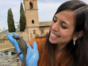 Imagen de ¡Qué animal! (T4): Venenosos - 1