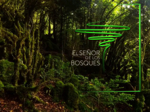 Imagen de El señor de los bosques (T3) - 1