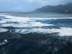 Imagen de Mindful Earth  - 1