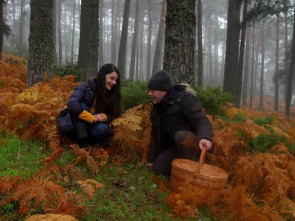 Imagen de El señor de los bosques (T4) - 1