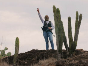 Imagen de En el corazón del cartel de Sinaloa - 1