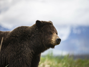 Imagen de Edén: paraísos remotos: Borneo: el bosque sagrado - 1