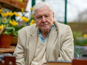 Maravillas sonoras con David Attenborough