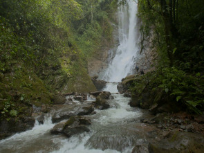 Imagen de Turismo rural en el...: Costa Rica: El secreto de la jungla - 1