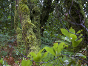 Imagen de De parque en parque: Parque Nacional de Cabañeros - 1