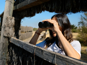 Imagen de Reduce tu huella (T3): Doñana, el santuario de las aves - 1