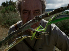 Cuaderno de campo: Mantis