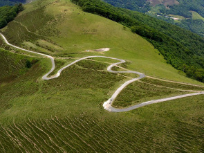 Imagen de Caminos de...: Camino francés 2 - 1