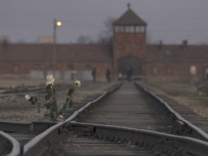 Imagen de Auschwitz: cartas desde el infierno - 1