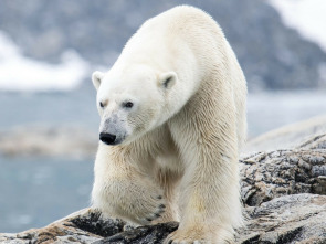 Imagen de Escandinavia salvaje: Hielo y fuego - 1